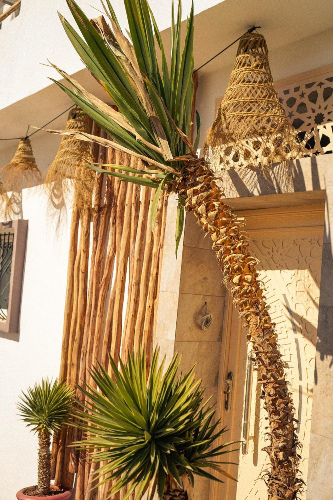 Bed and Breakfast Wild Surf Morocco Tamraght Экстерьер фото